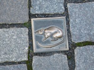 Pflasterstein mit Ratte in Hameln